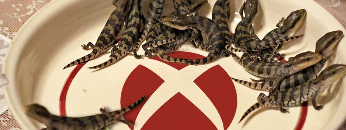 Arrestati Membri Di Lizard Squad Dietro L’Attacco A PSN & Xbox Live (Forse)