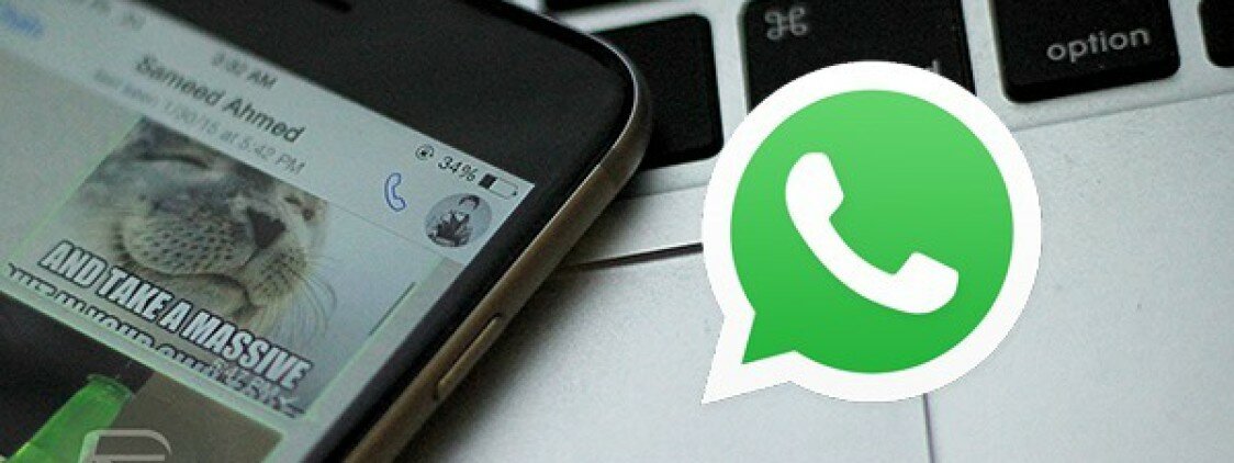 Come ricevere notifiche push da Whatsapp quando uno specifico contatto va online