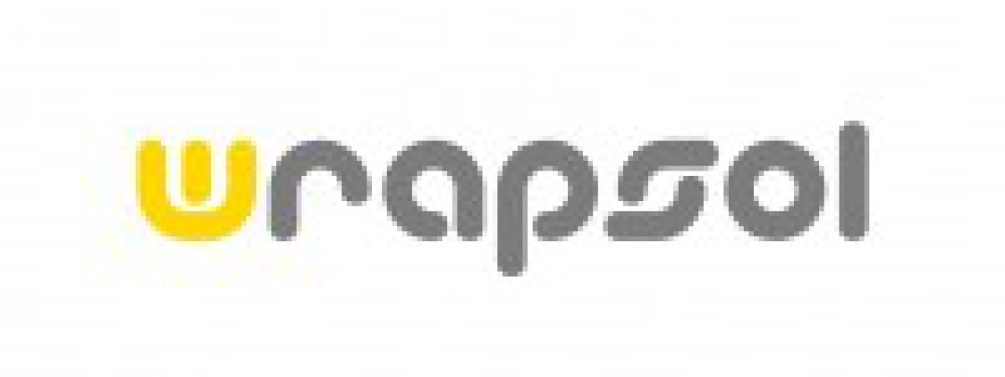 FOCUS ACCESSORI | Wrapsol Protective Film per ipad 2.